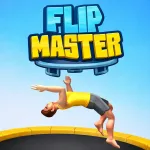 Play Flip Master now!