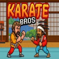 Play Karate Bros game