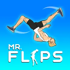 Mr Flip game Play Mr Flip game