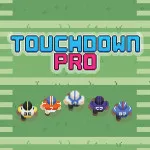 Play Touchdown Pro now!