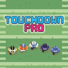 Play Touchdown Pro game